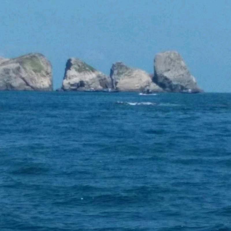 海洋