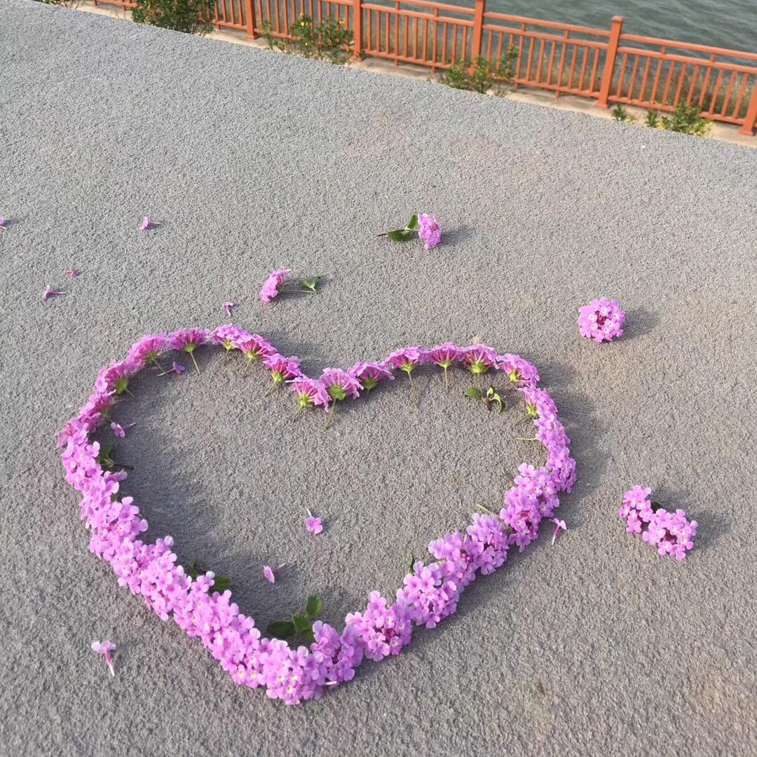 专业清洗空调洗衣机——吉祥如意