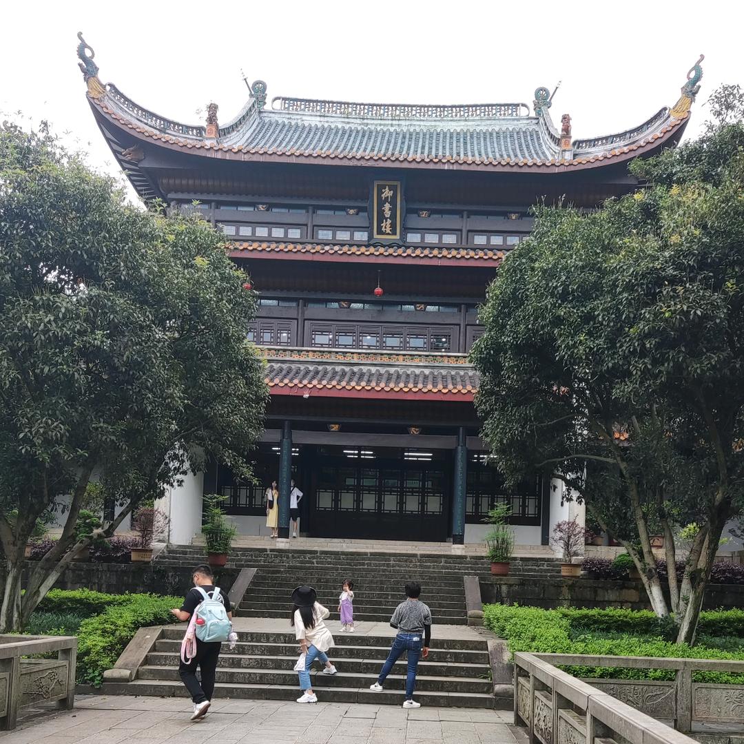 鸽子🕊️