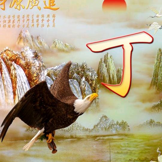 昙华一梦