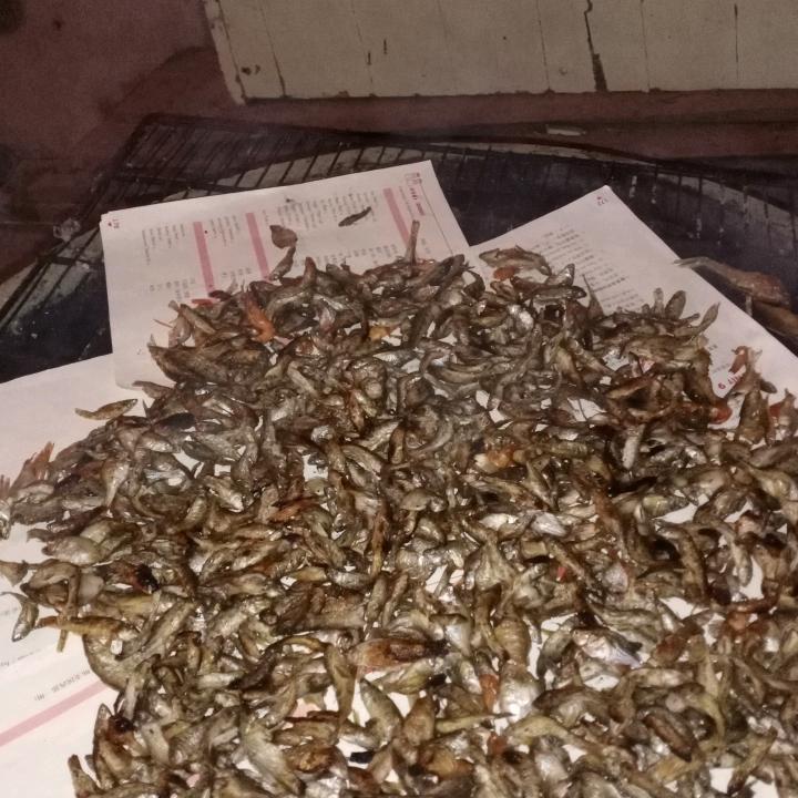 用户3028236710232