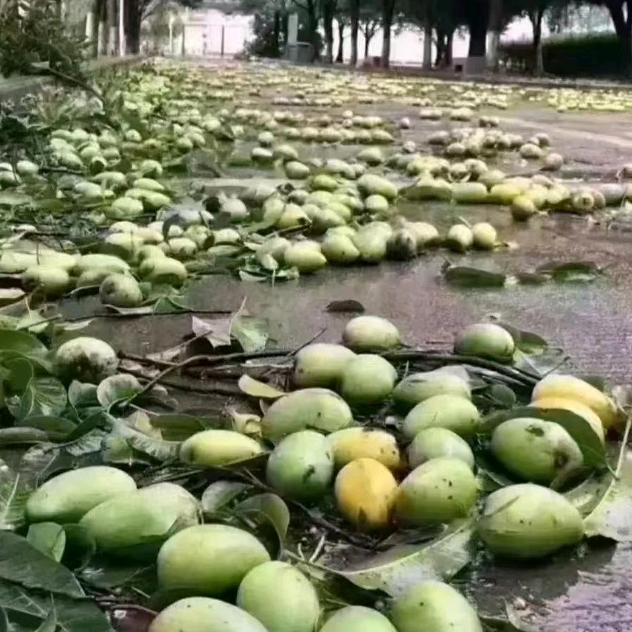 阿卡莎