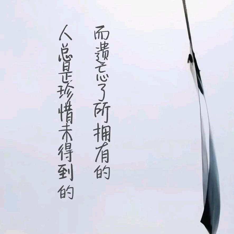 海