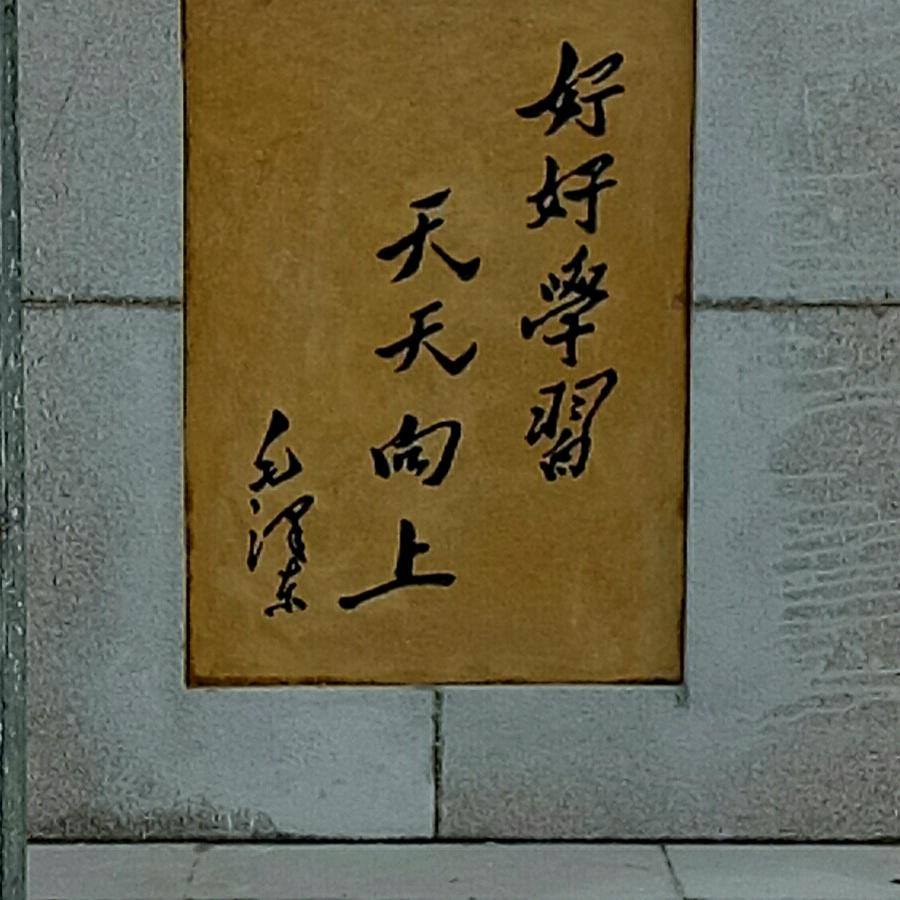 喜欢绿色