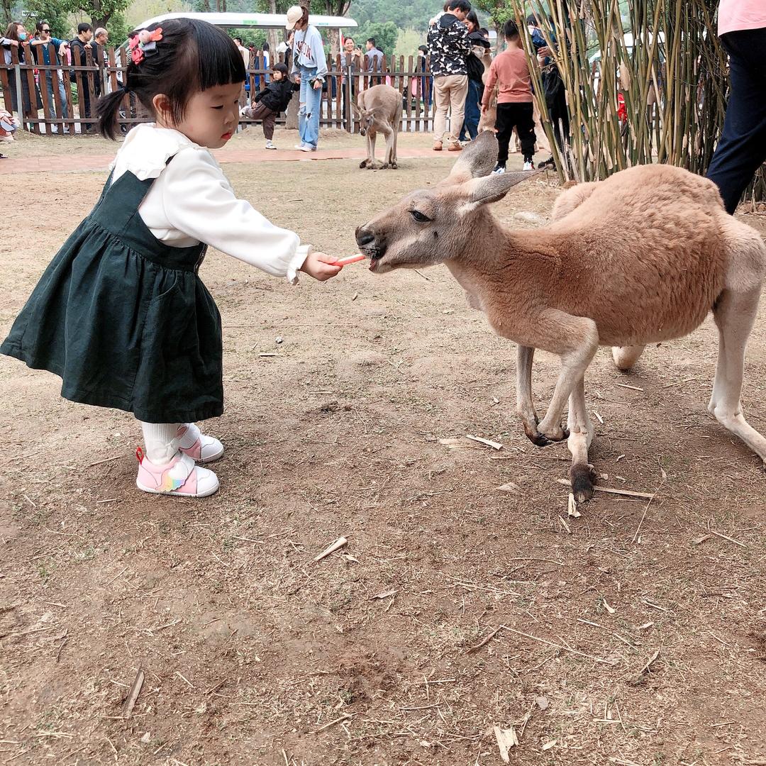 小丸子爷爷