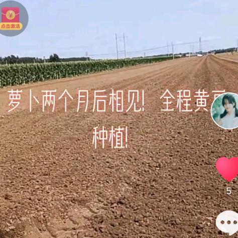 爱美萱娇