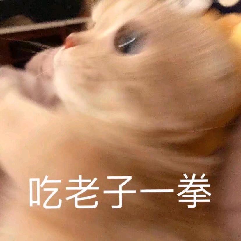 好家伙
