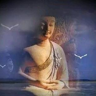 太阳底下的王者