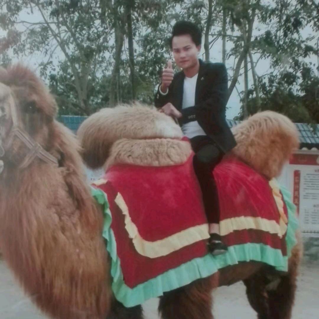 一路发奋斗小哥668899