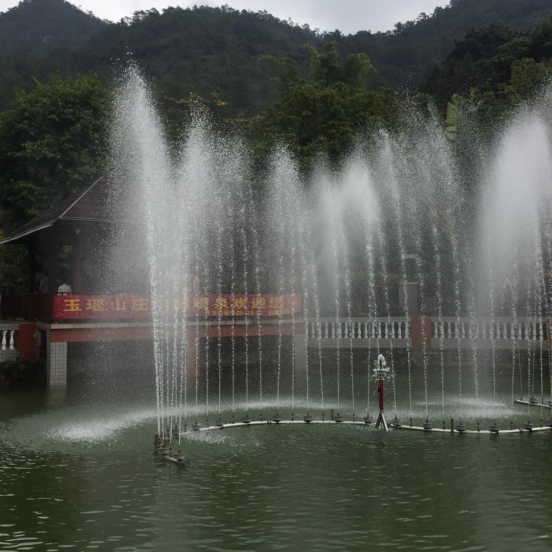 吉祥三宝🌸🌸🌸