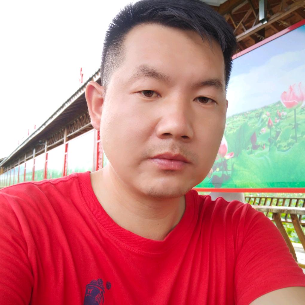 随梦飞
