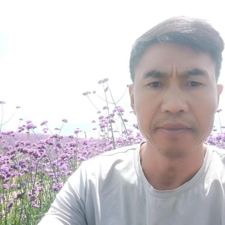 用户8221006185335