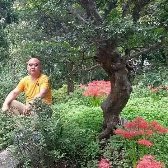 上善若水一二三