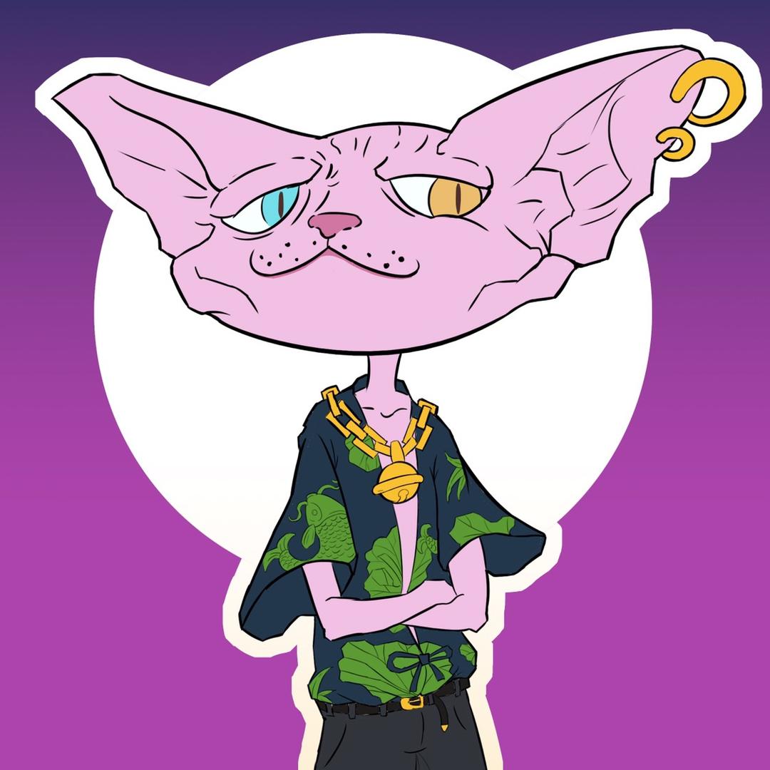 灵猫课堂