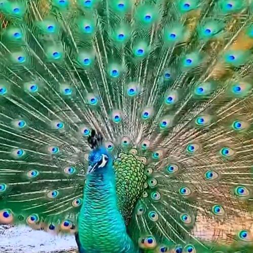 ？？？？？？？？？路