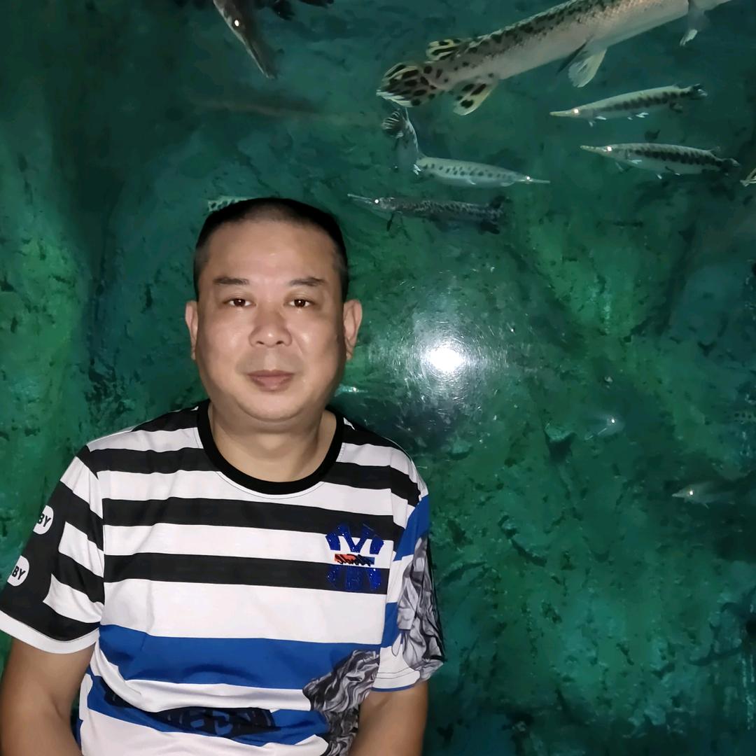 毛铎