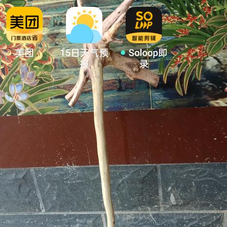 用户天下第一