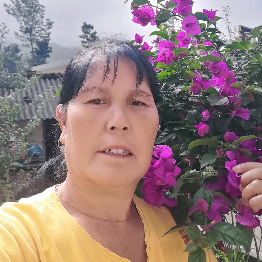 用户6652143411669一'