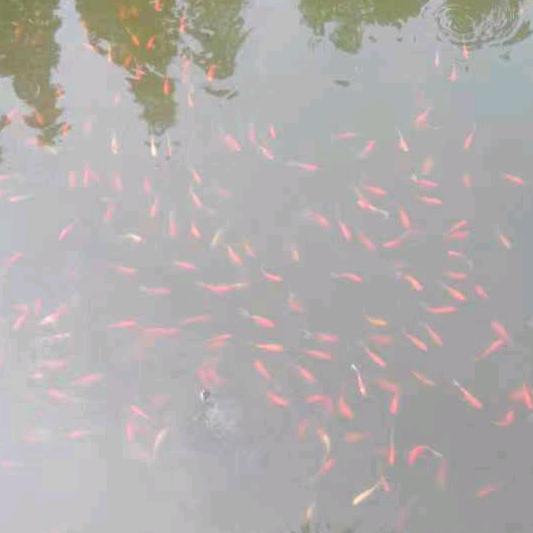 行走在路上的追梦人