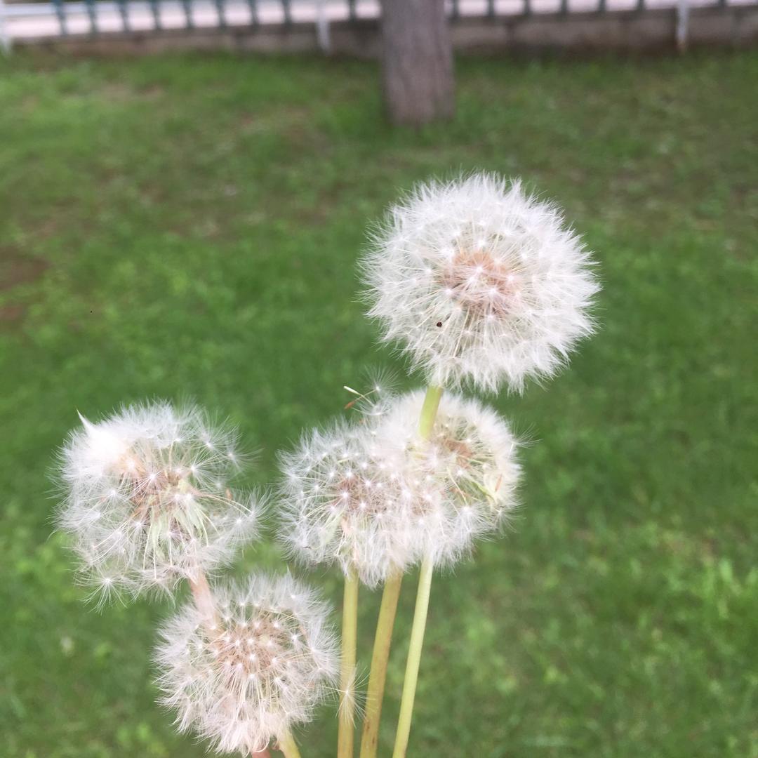 幸福的一家人👨‍👩‍👧‍👦