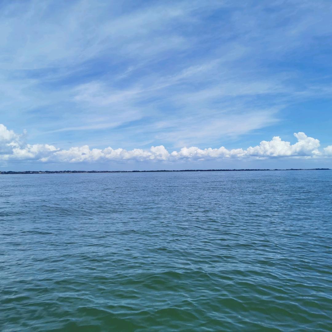 包工头（杨哥）