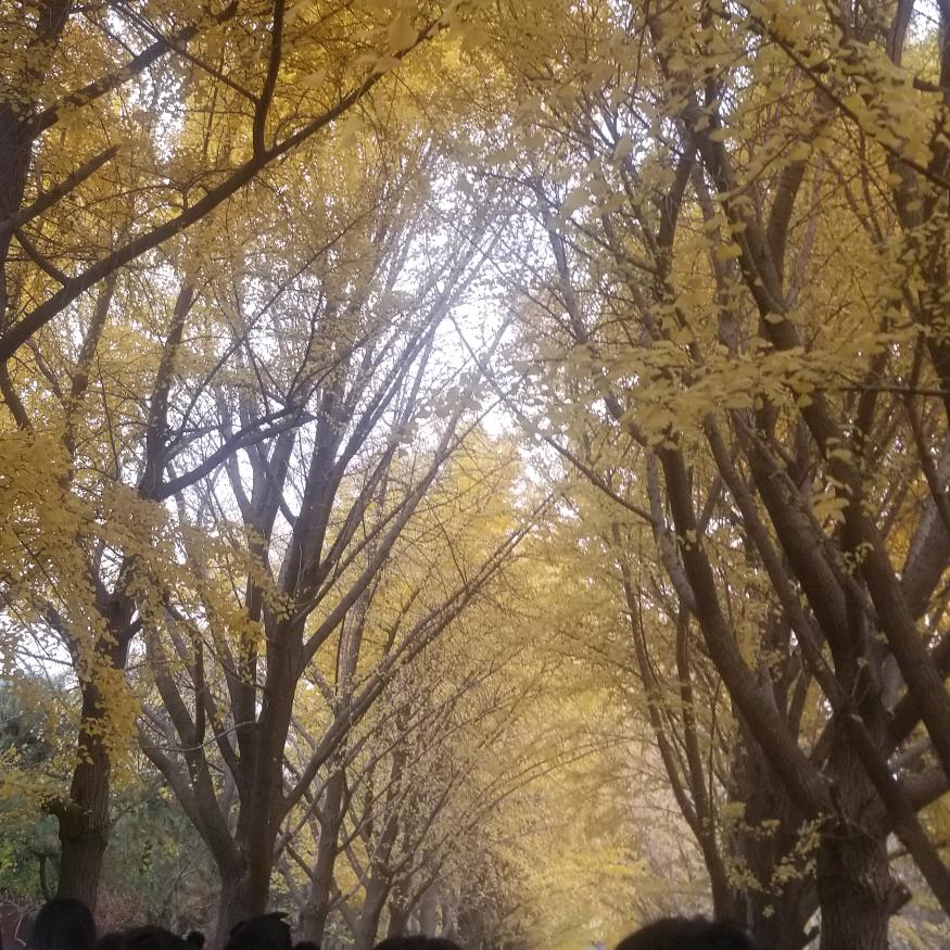 京房小喻