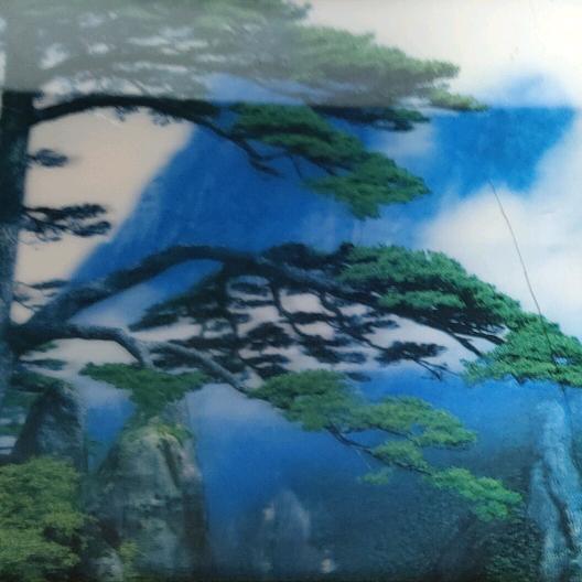 肖大姐