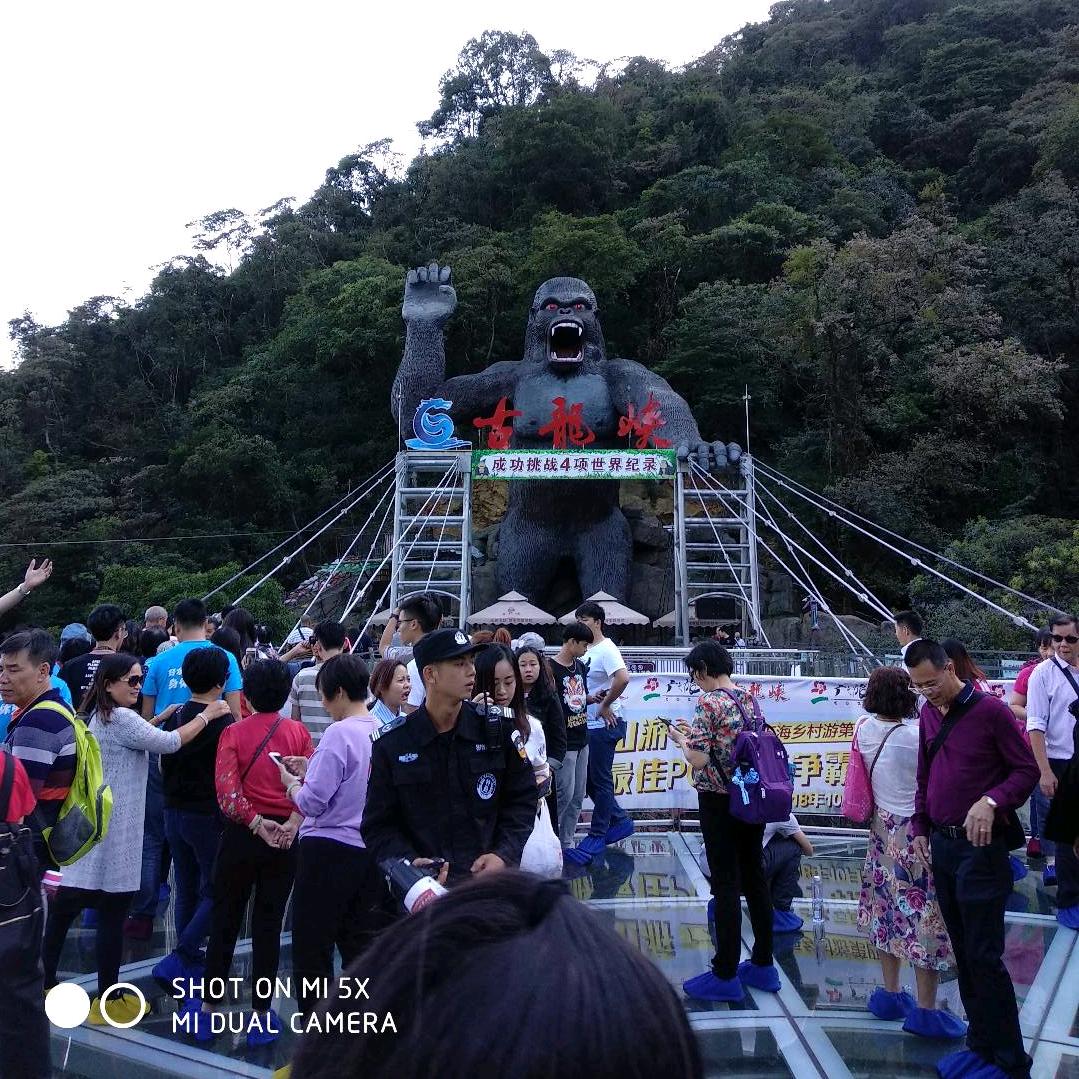 Biubiu飙-
