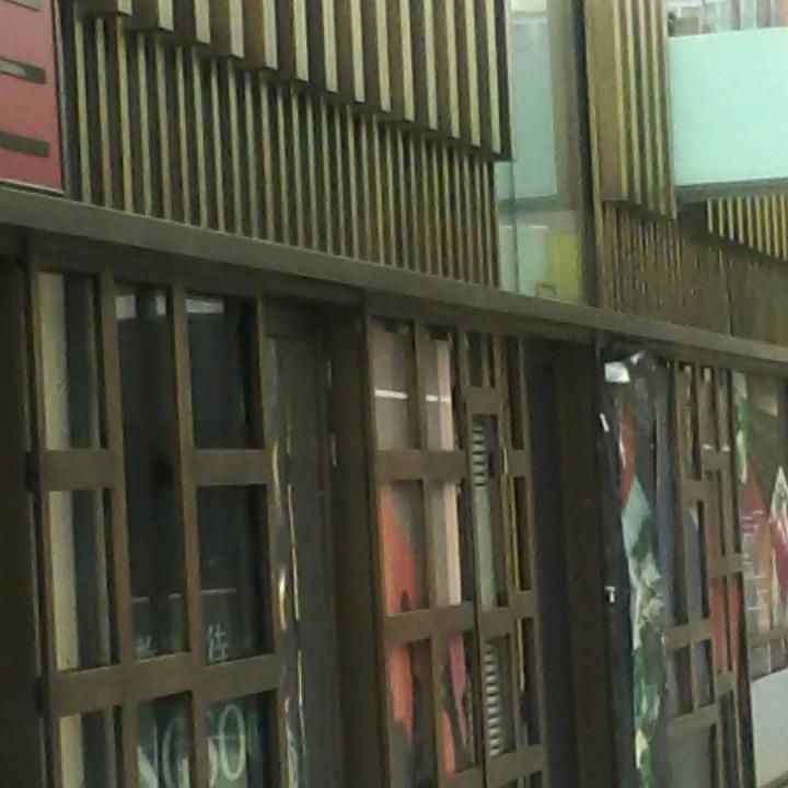 老柯