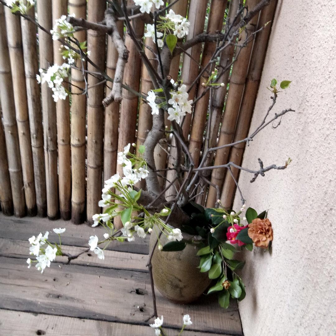 容亿