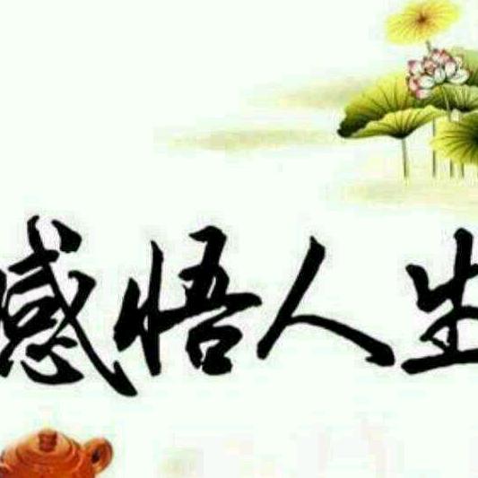 善缘好物