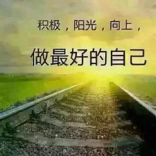 四哥  泉秦物流