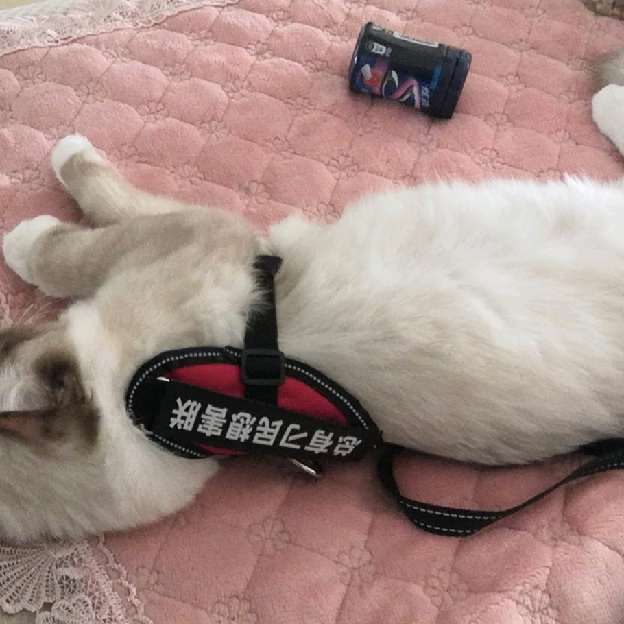 灵犀一点