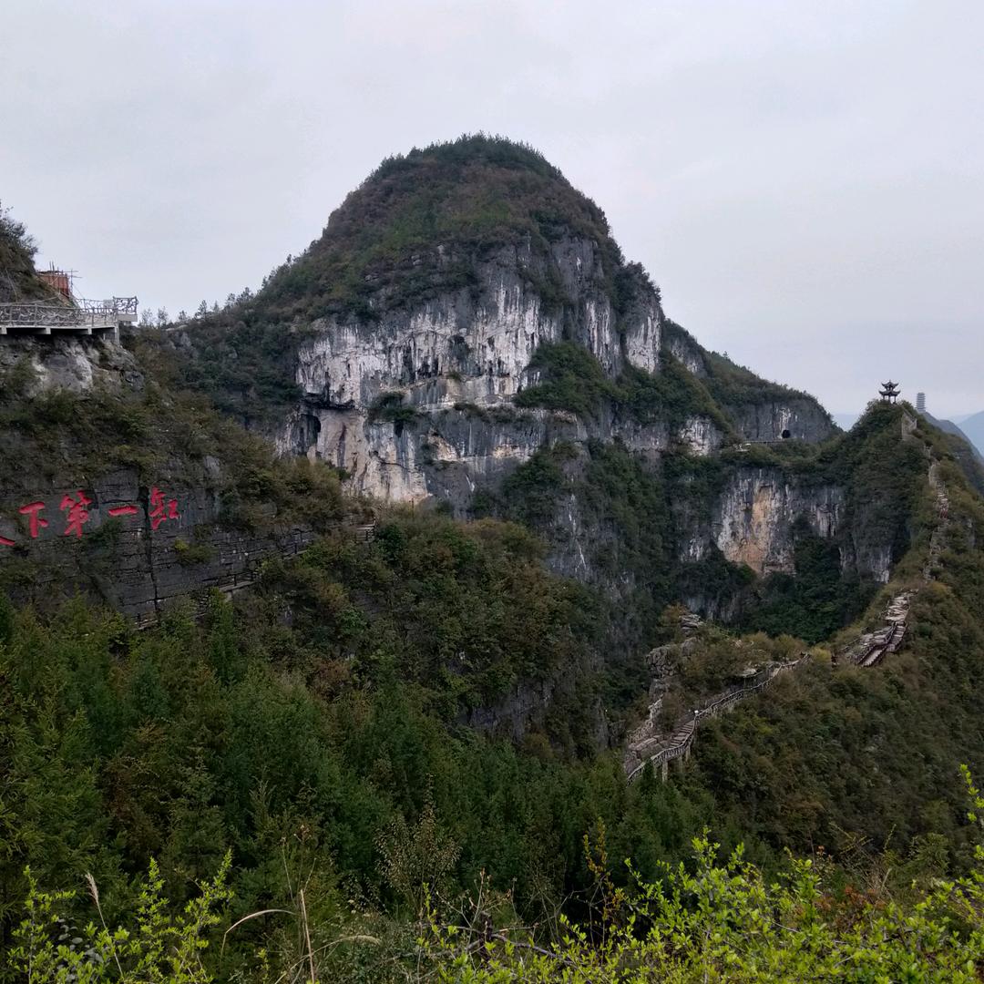 令羽
