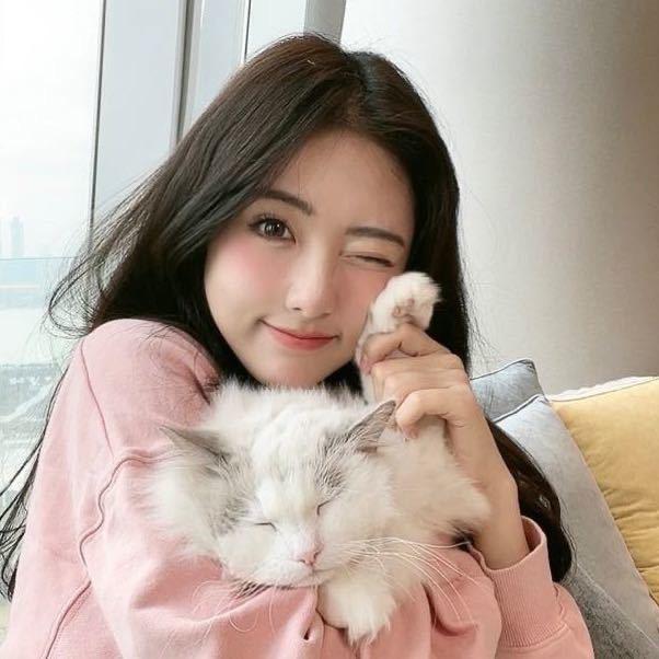 猴猴次