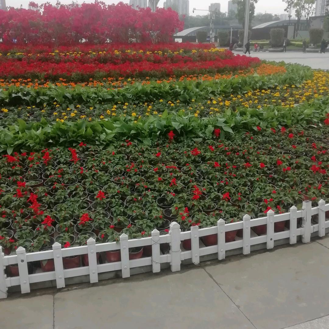 世纪无量～超级宽容