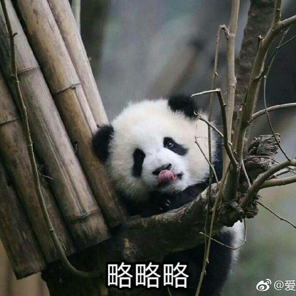 哔哩吧啦啾啾啾