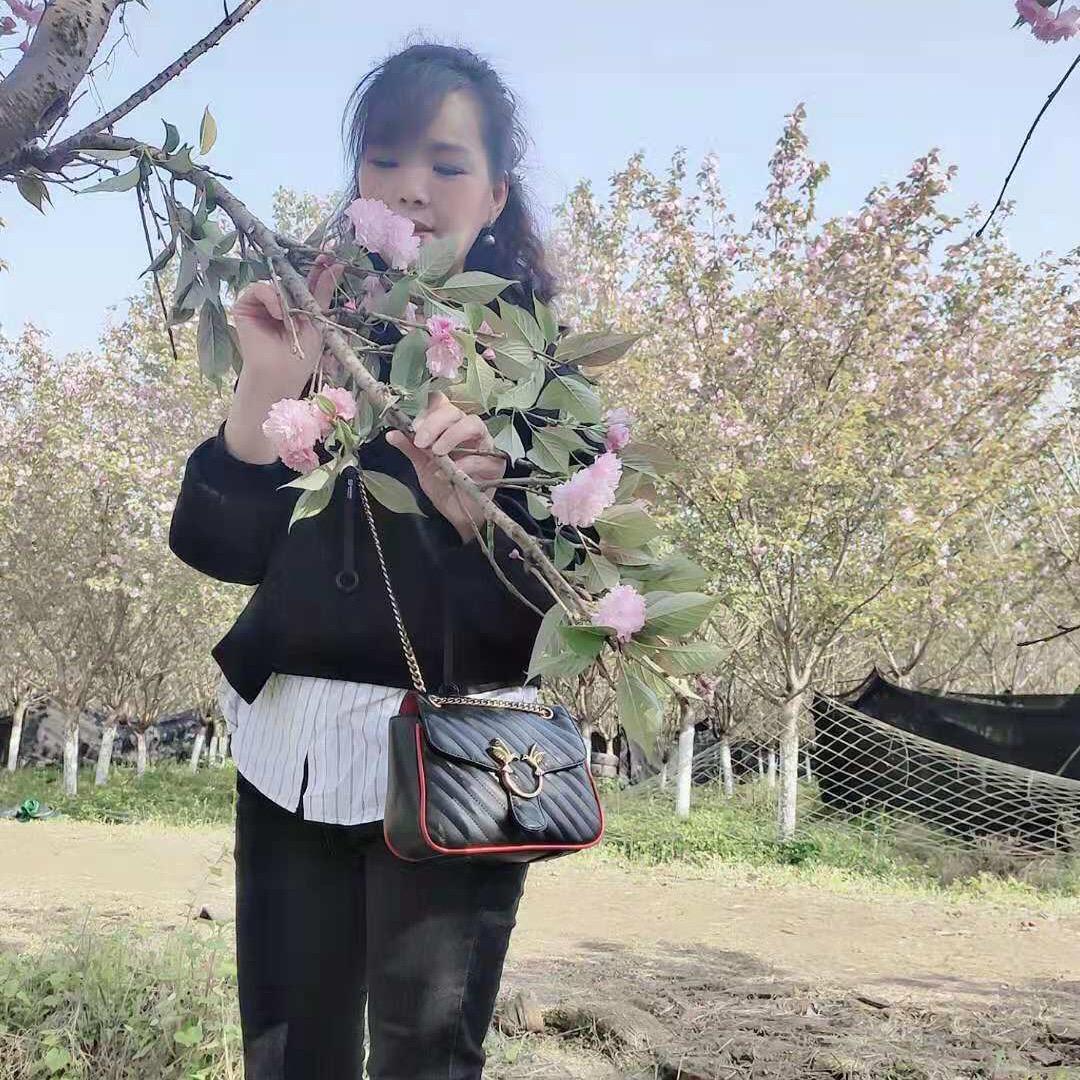 千仞岗罗燕