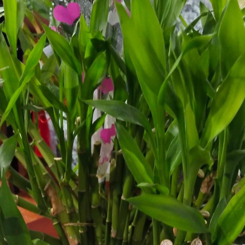 忘掉一切 ，让心归零