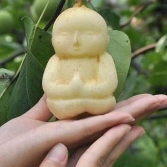 神秘來客