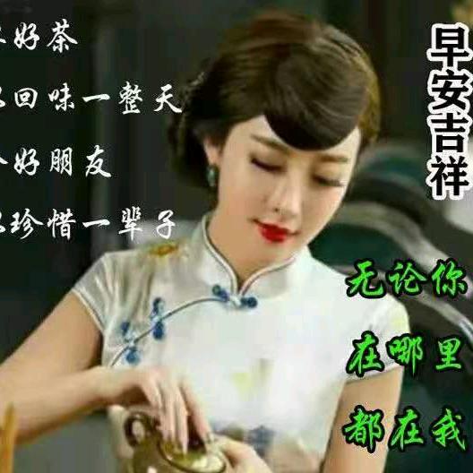 石鹰