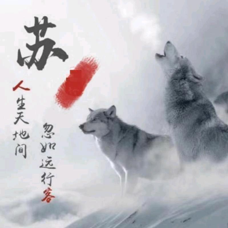 勇闯天下