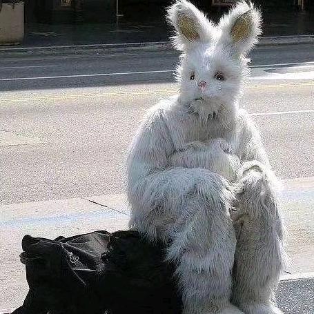 啦啦啦啦啦啦啦啦