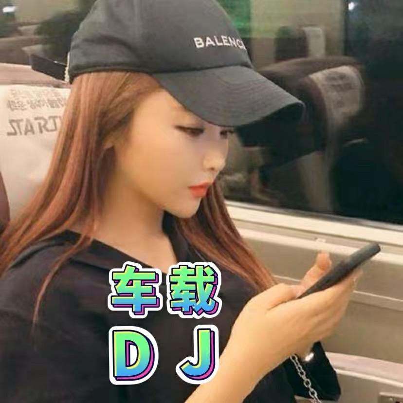 叶子车载音乐（优盘）