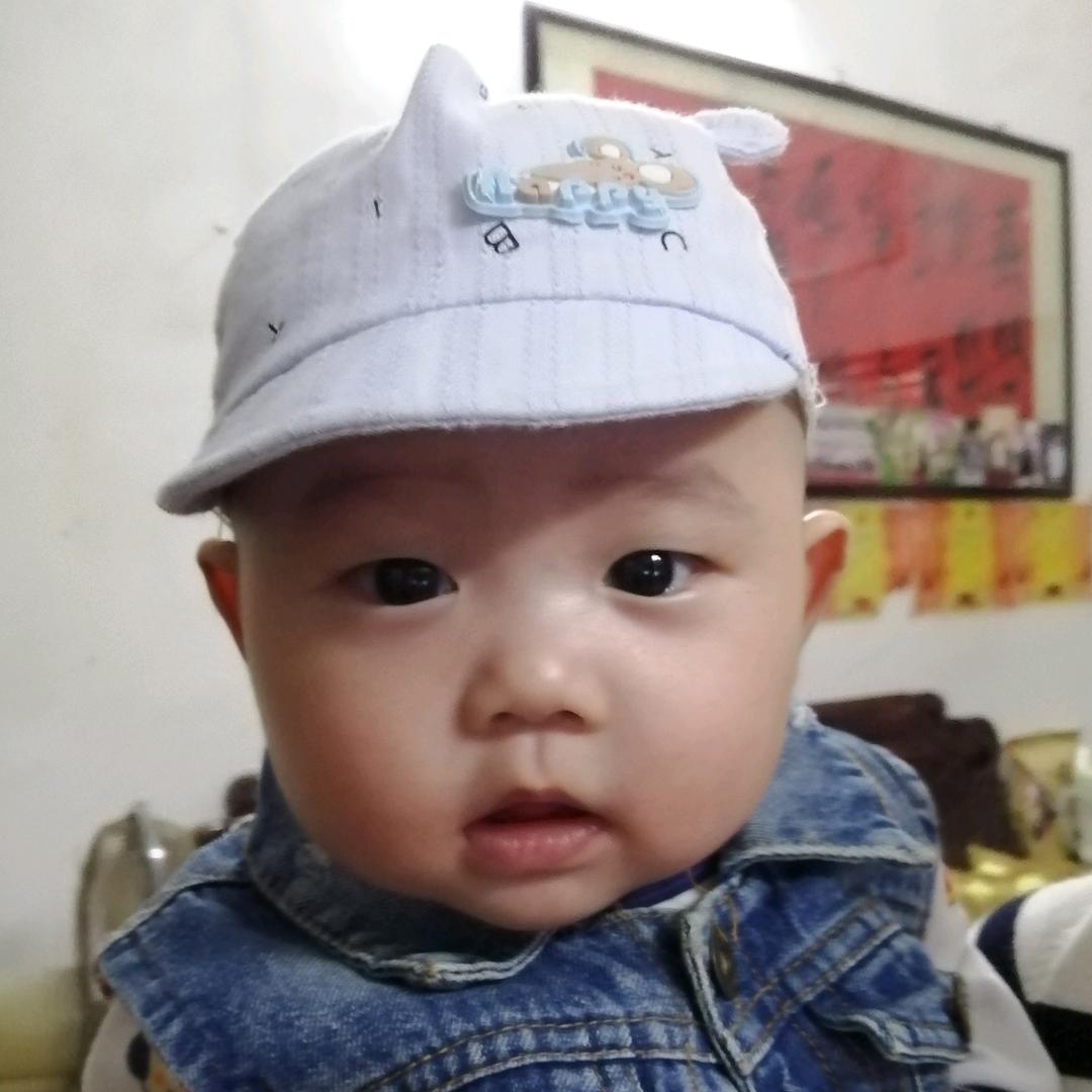 外儒内法