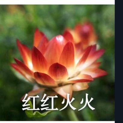 琴.😄