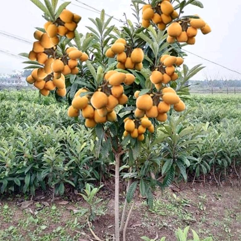 用户5169028764497