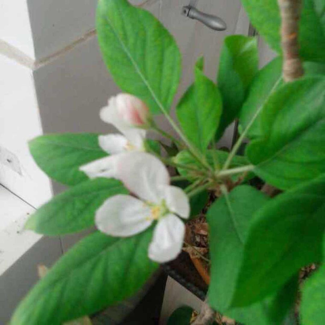 言涛广告衫工作服仓储