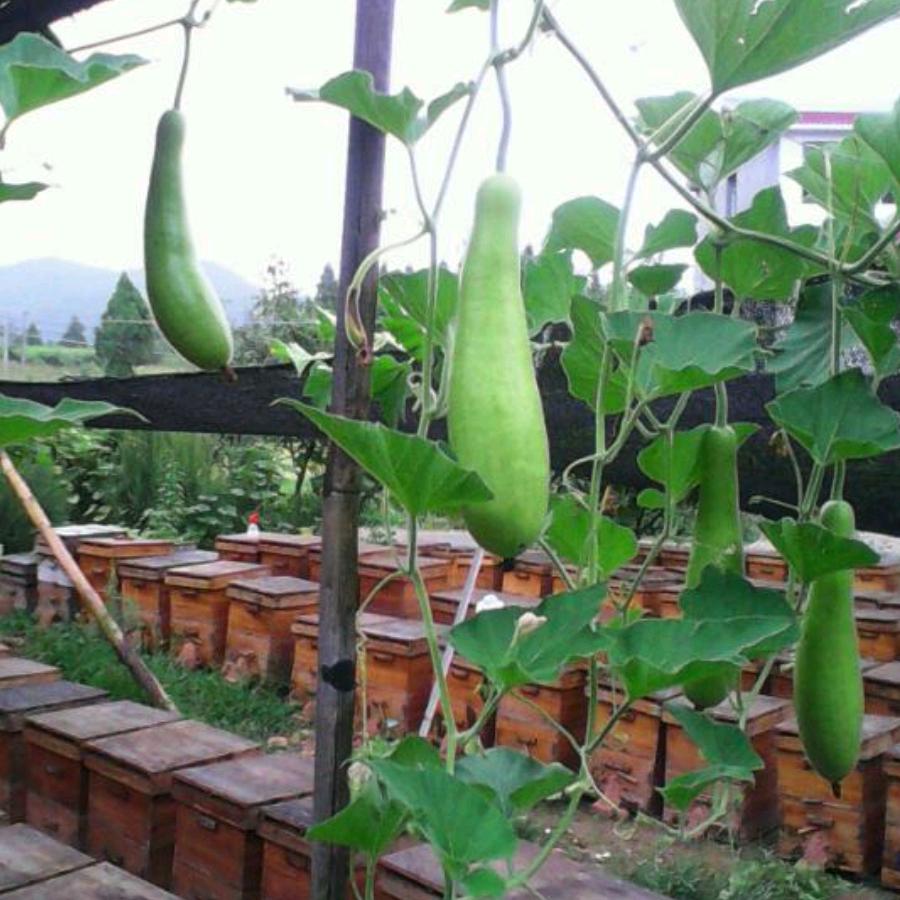 一缕阳光彬琰（ 拒私聊）