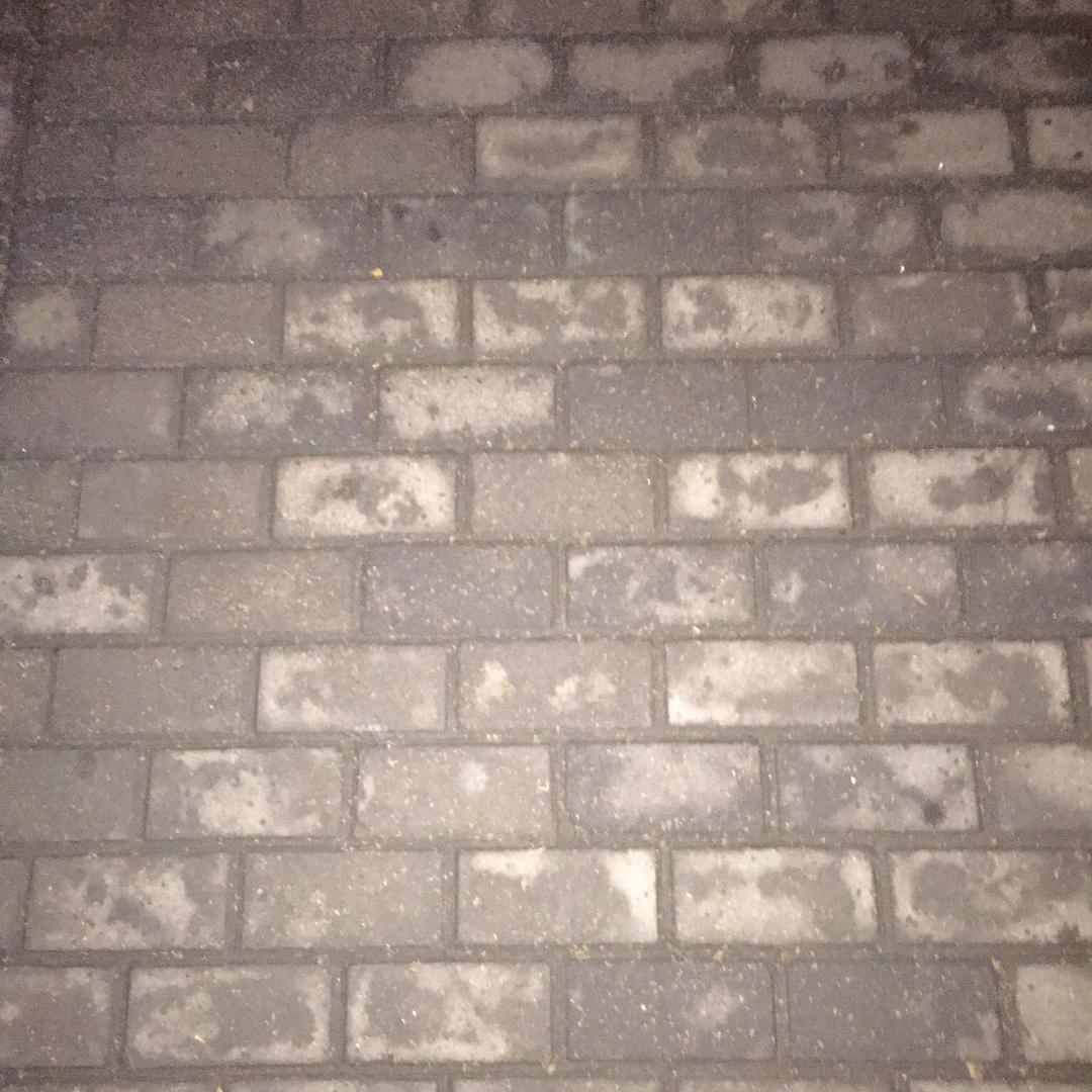 烟蔑了